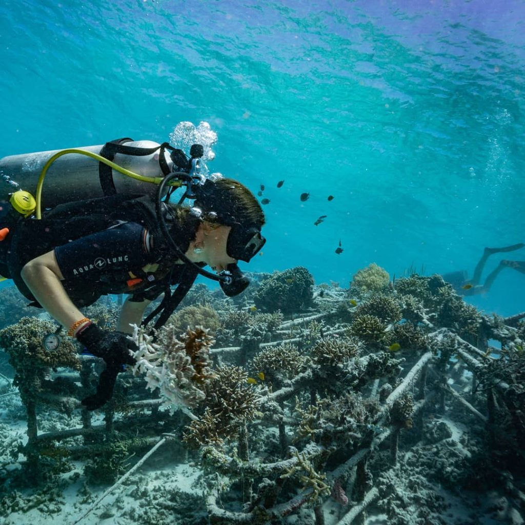 Essential Basic for Scuba Diving for Beginners: Never Hold Breaths