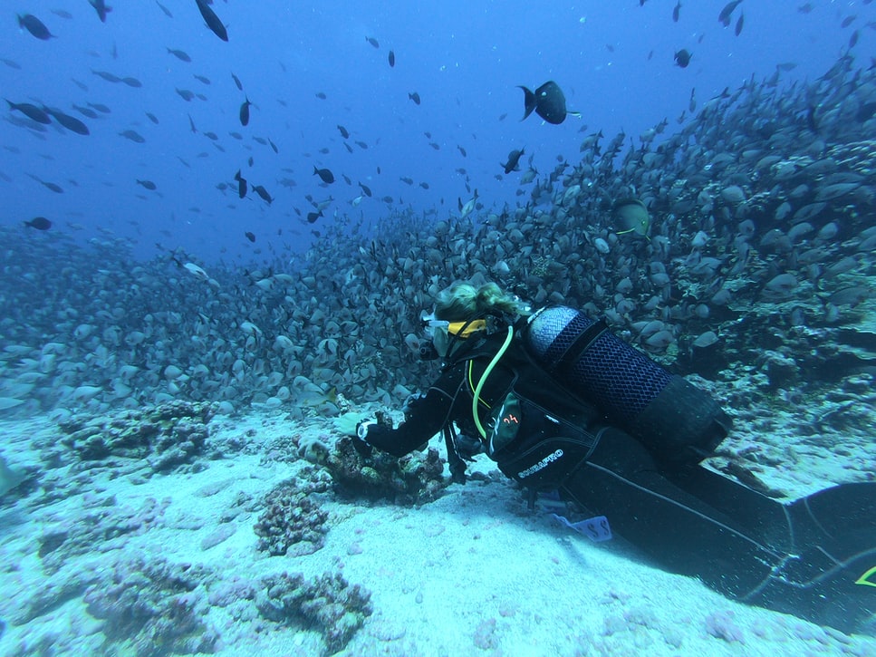 Papua Diving