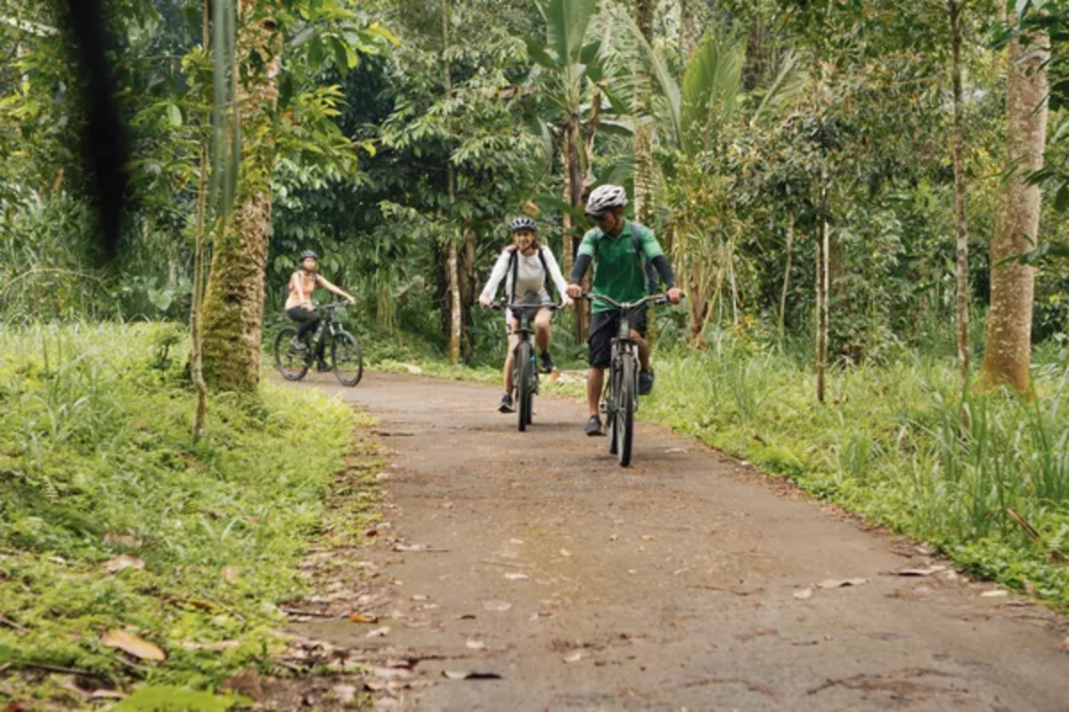 cycling tours in Bali