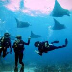 Diving in Nusa Lembongan