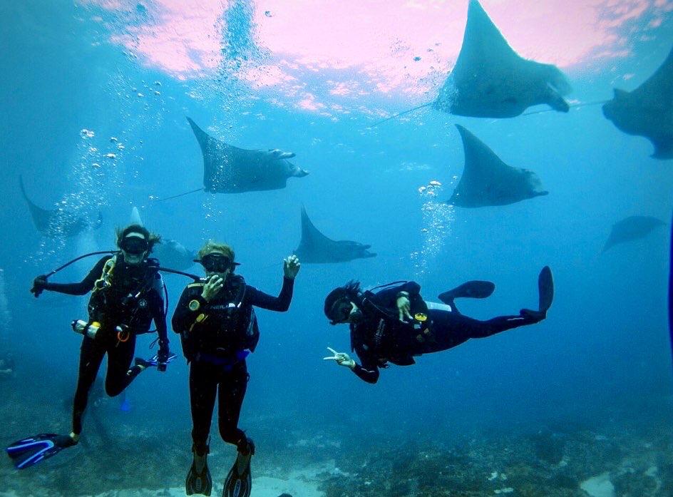 Diving in Nusa Lembongan